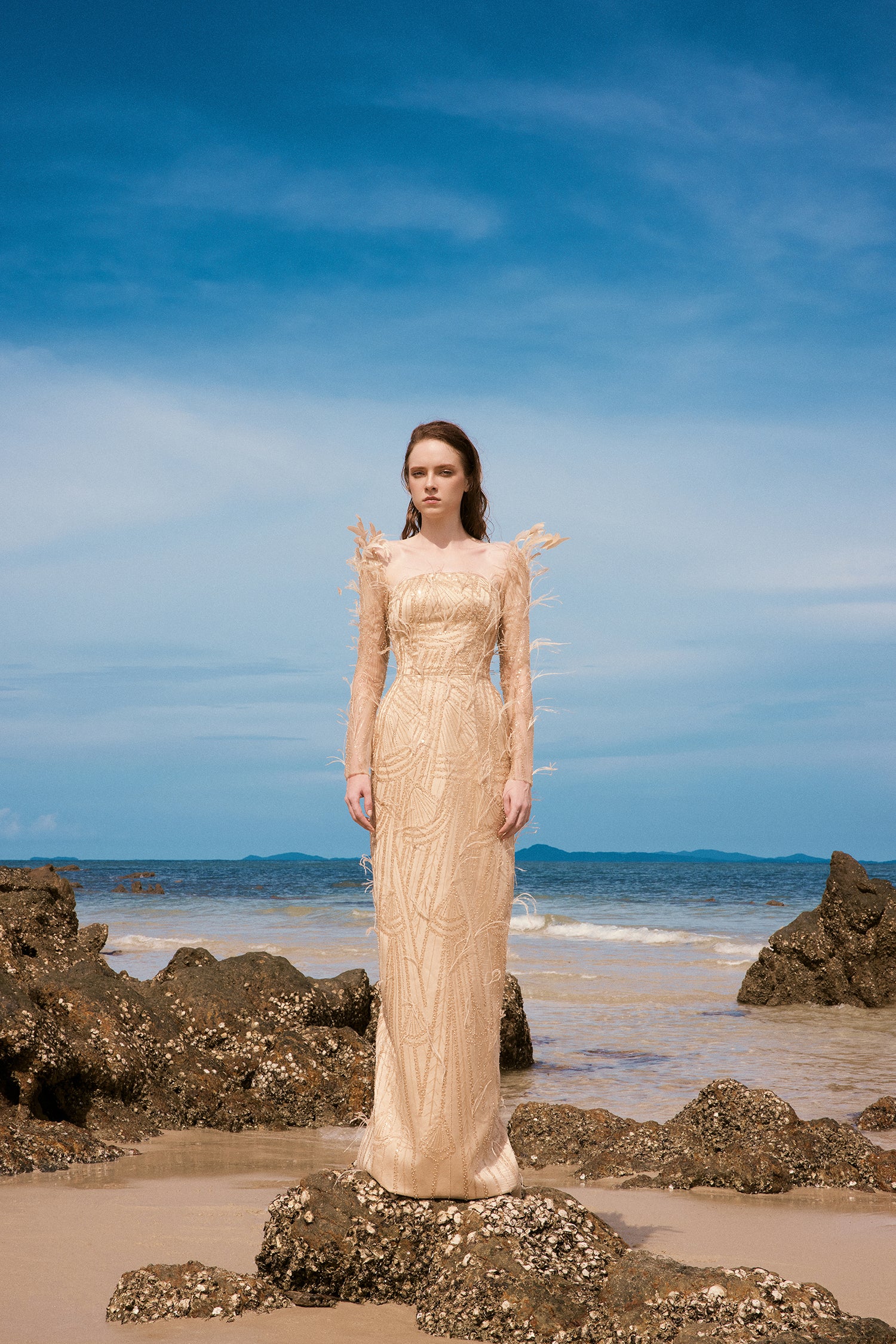 Emily crystal lace feather dress