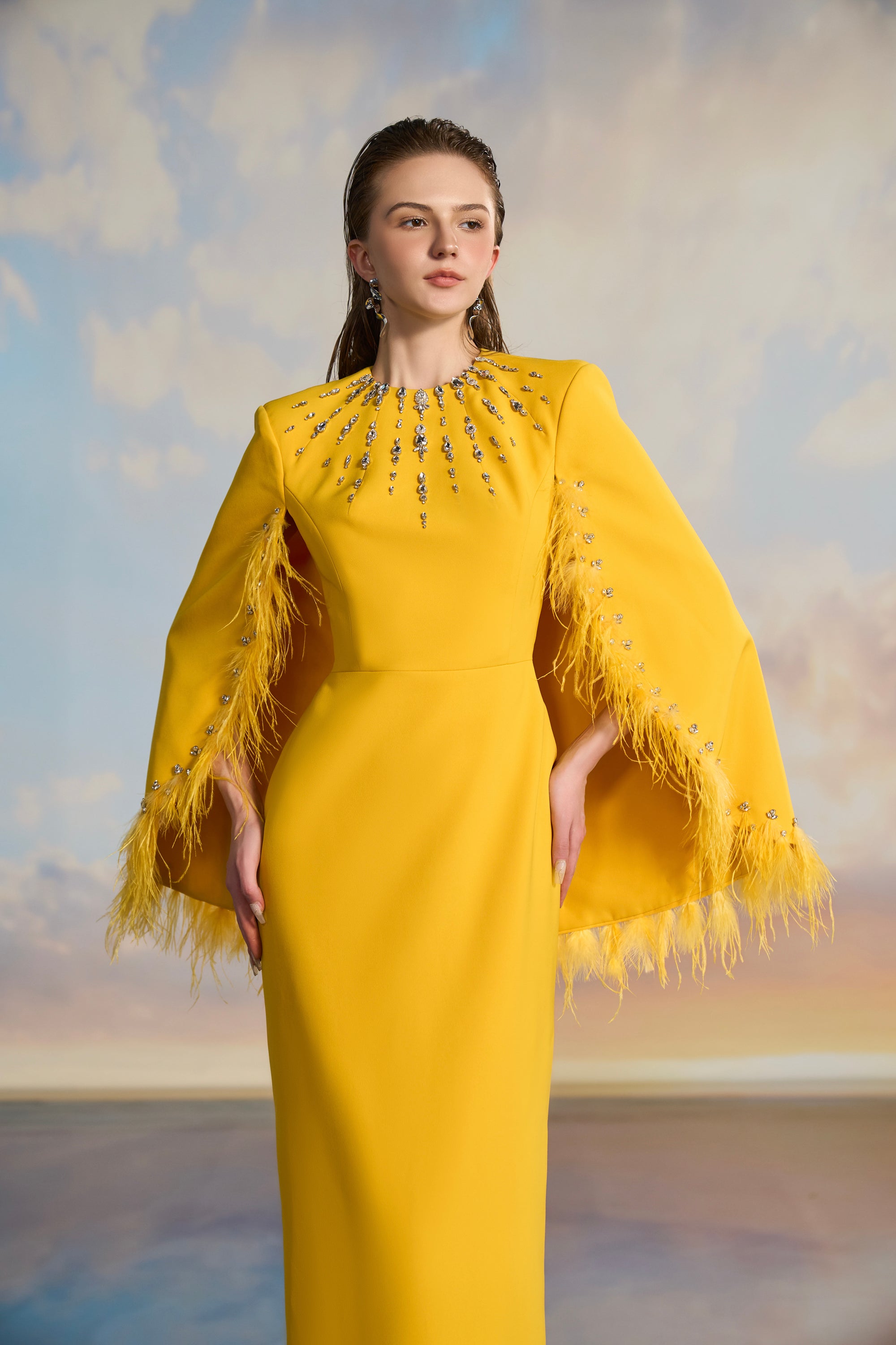 Allison Crepe cape sleeve dress