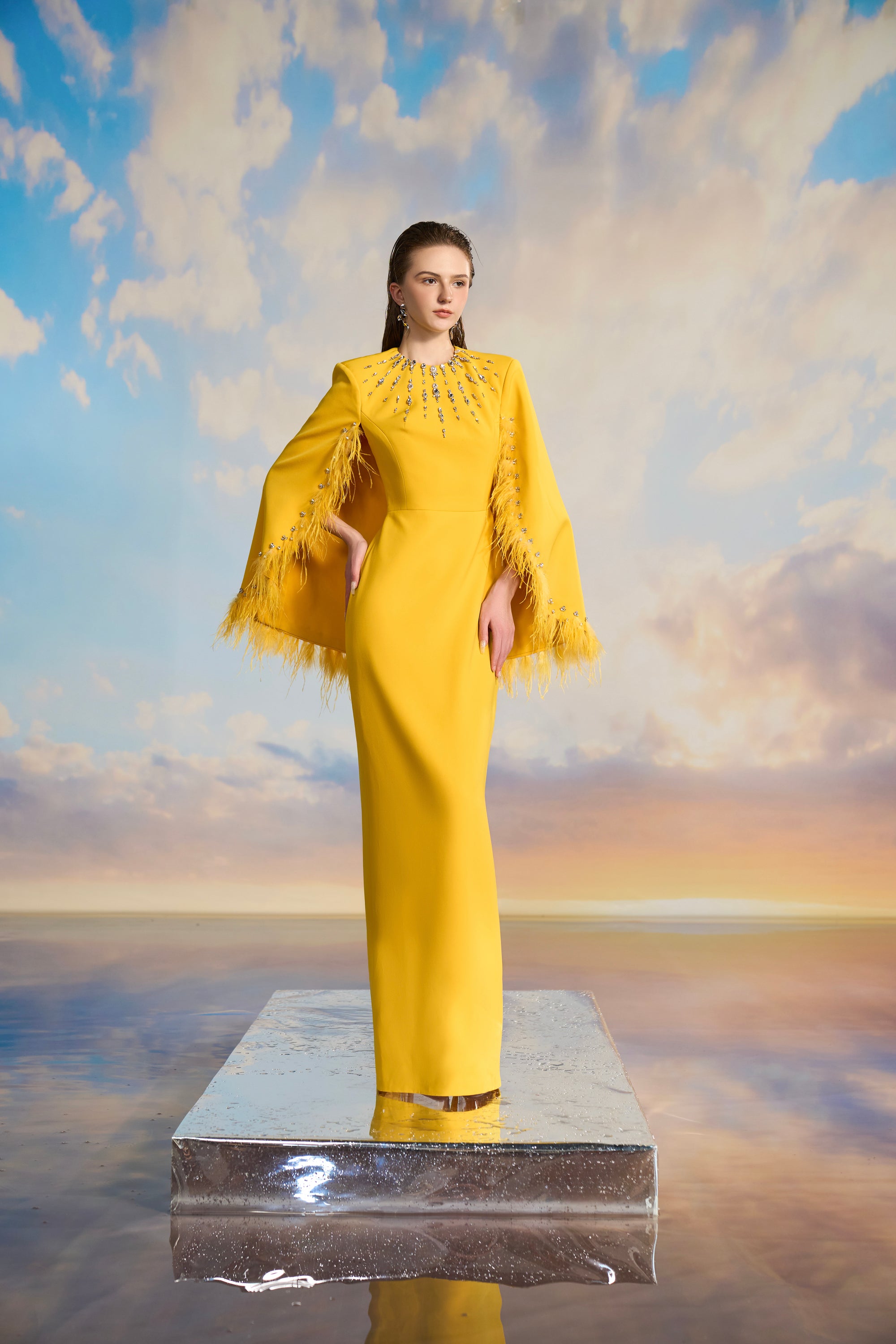 Allison Crepe cape sleeve dress