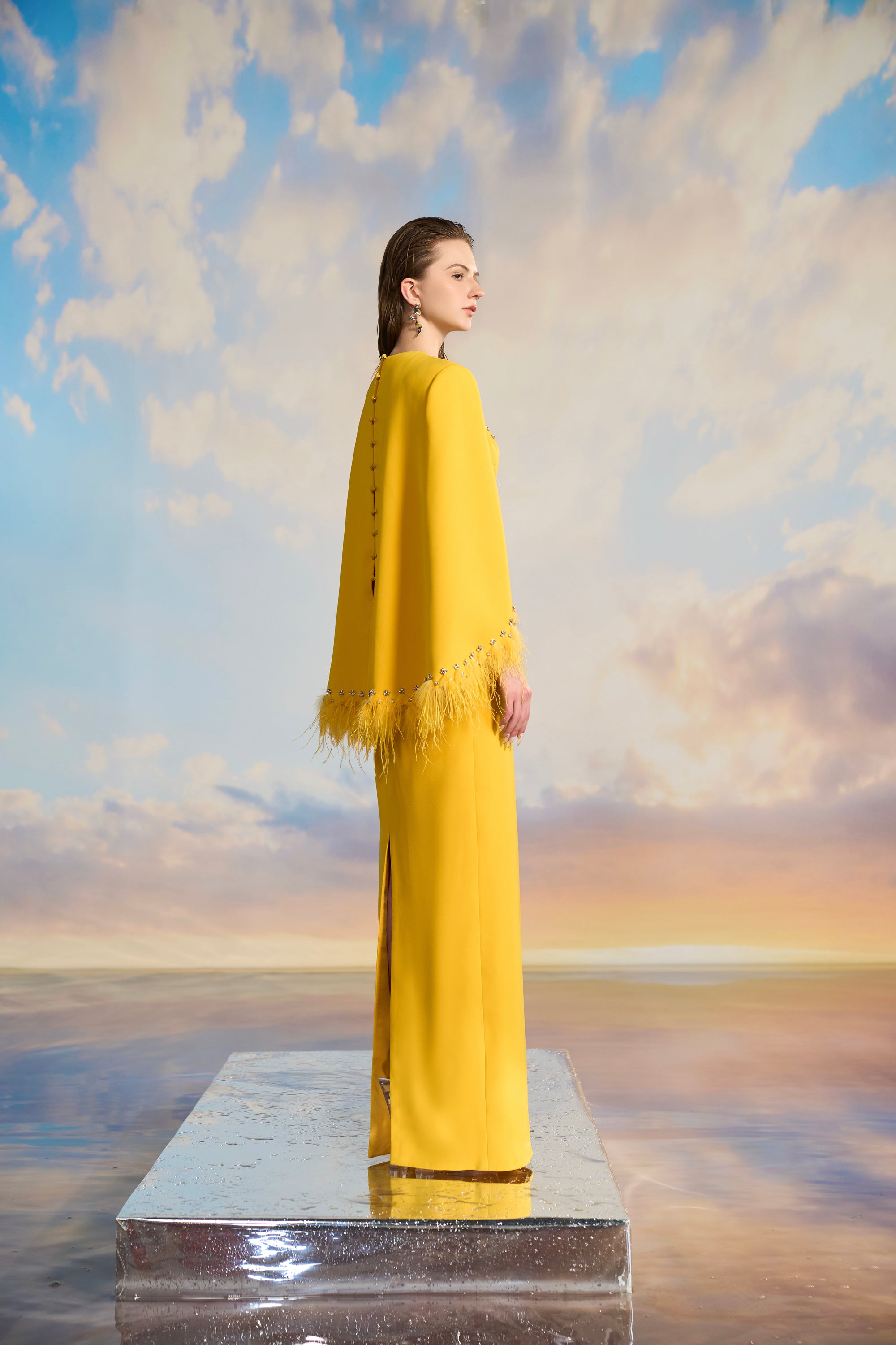 Allison Crepe cape sleeve dress