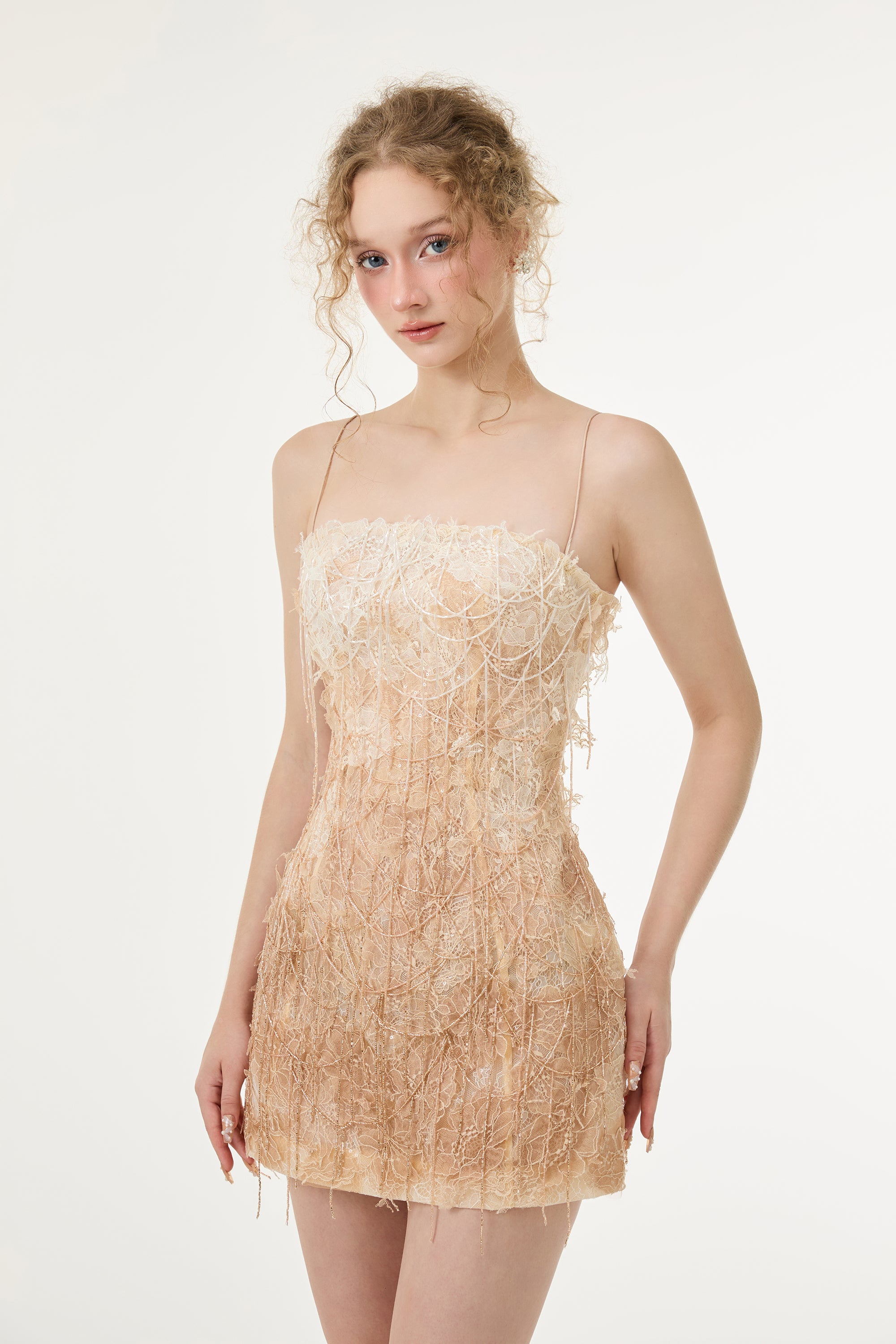 Celia Lace Dress